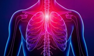 Цистит при терапии фибратами: что известно и на что стоит обратить внимание