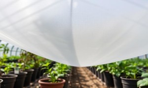 Дышащий спанбонд для теплицы: пропускает влагу, защищает от ветра