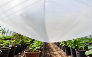 Дышащий спанбонд для теплицы: пропускает влагу, защищает от ветра
