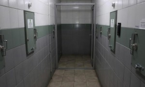Цистит в тюрьме: почему инфекции мочевыводящих путей становятся проблемой в местах лишения свободы
