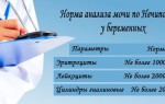 Зеленый уж: загадочный обитатель болот и лесов