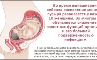 Жук знахарь: удивительный помощник в мире природы и медицины