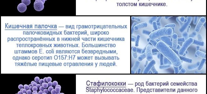 Что такое кистозные прыщи и как с ними бороться