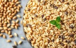 Пророщенные зёрна и ферменты: как они влияют на пищеварение и иммунитет