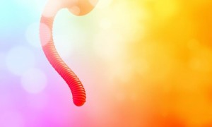 Цистит и гормональные препараты: влияние на течение болезни