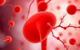 Антибиотикотерапия при цистите: как выбрать препарат грамотно и без лишних рисков