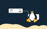 Служба каталога для Linux: что это такое и зачем она нужна?