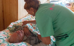 Как работают дома престарелых для лежачих больных?