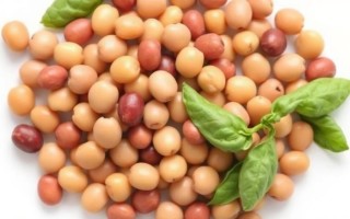 Фасоль и вздутие: как обычный гарнир может косвенно влиять на самочувствие при цистите