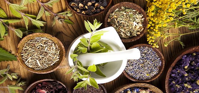 Как лечить цистит таблетки или травы