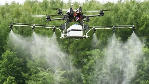 Химобработку полей в Кыргызстане проводят с помощью дрона