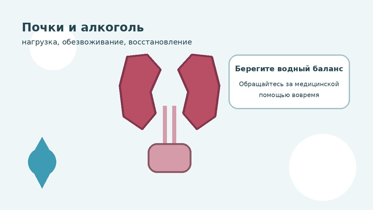 Почки и алкоголь: что происходит во время запоя